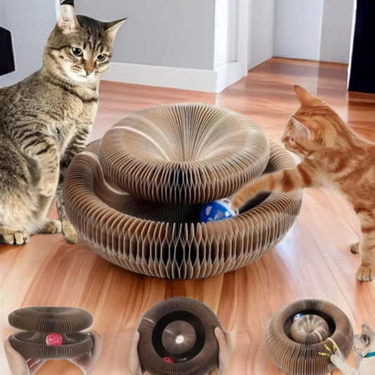 Magic Cat Scratch Toy with Ball - Round Corrugated Claw Board Toy