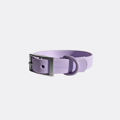 Everyday Collar - Durable, Comfortable Pet Collar for All Weather Use