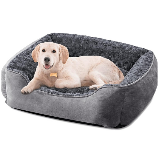 JOEJOY Cat Couch Bed - Orthopedic Sofa Couch Bed for Cats & Dogs