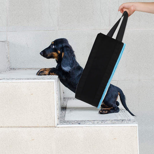 Dog Lift Support Harness