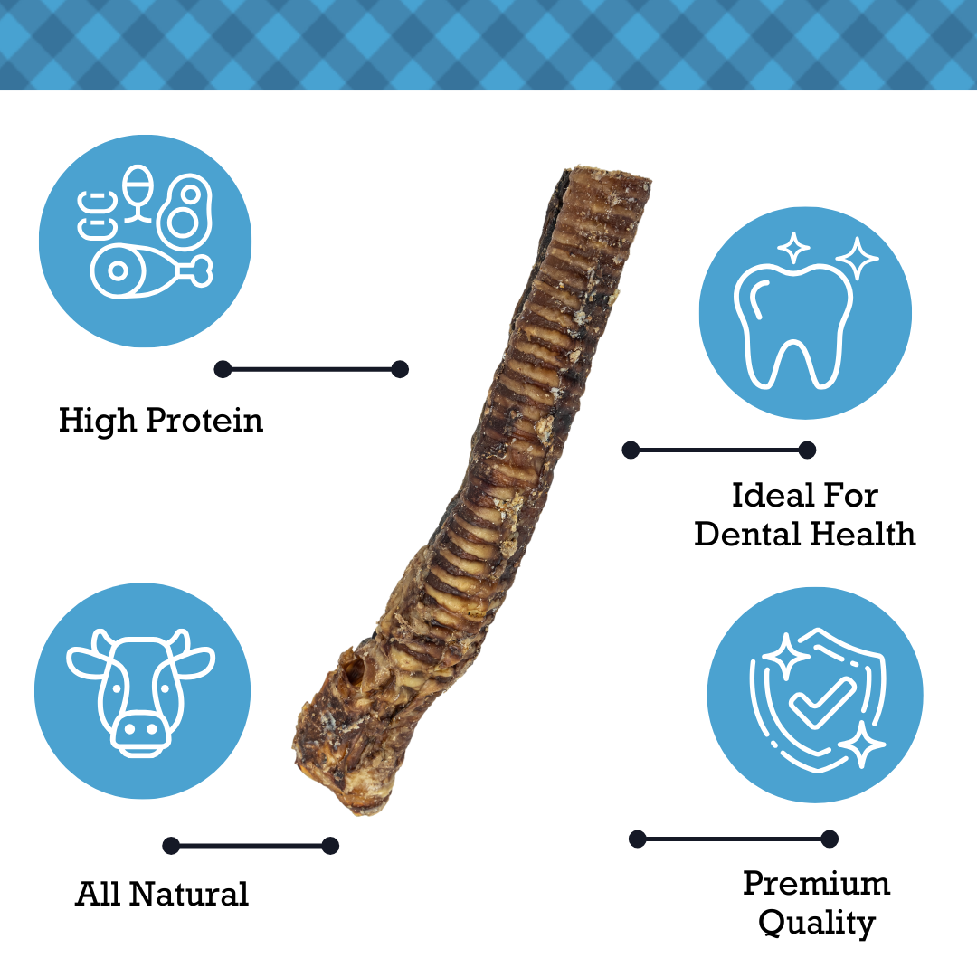 Country Living all-natural beef trachea dog treat highlighting high protein, dental health benefits, premium quality, and natural ingredients