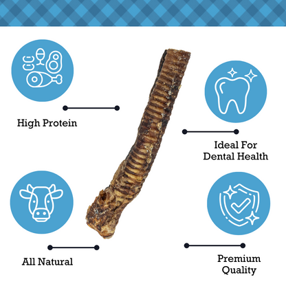 Country Living all-natural beef trachea dog treat highlighting high protein, dental health benefits, premium quality, and natural ingredients