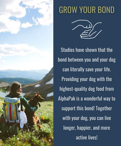 Premium raw freeze dried dog food beef supporting healthy active lifestyle for all breeds