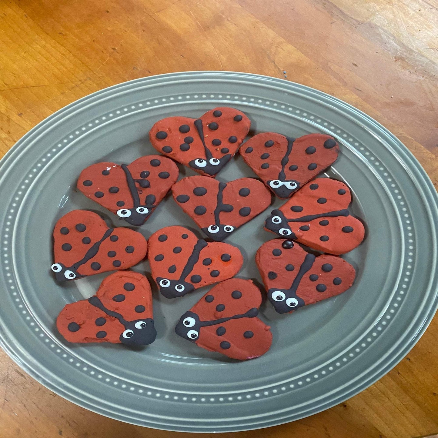 Ladybug Organic Dog Cookies -Wholesome Treats with Organic Ingredients