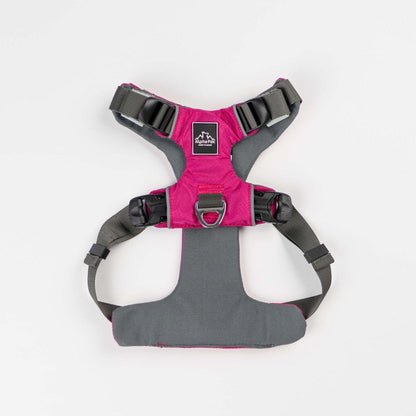 Everyday Adventure Dog Harness - Quick Adjust, Durable Water-Resistant