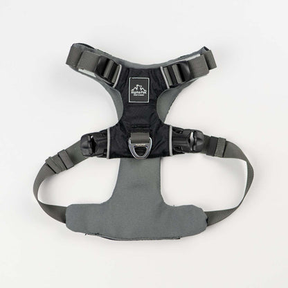 Everyday Adventure Dog Harness - Quick Adjust, Durable Water-Resistant