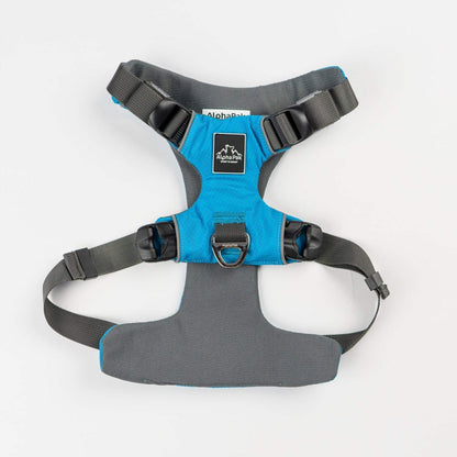 Everyday Adventure Dog Harness - Quick Adjust, Durable Water-Resistant