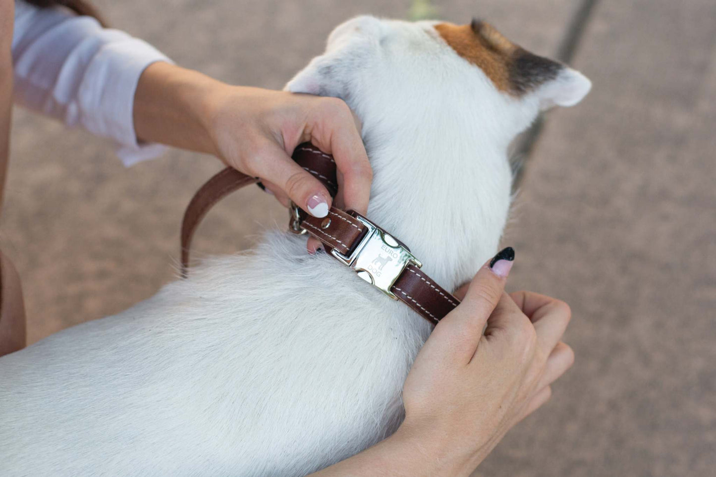 Pro Line Quick-Release Dog Collar -Stylish & Durable Leather Accessory