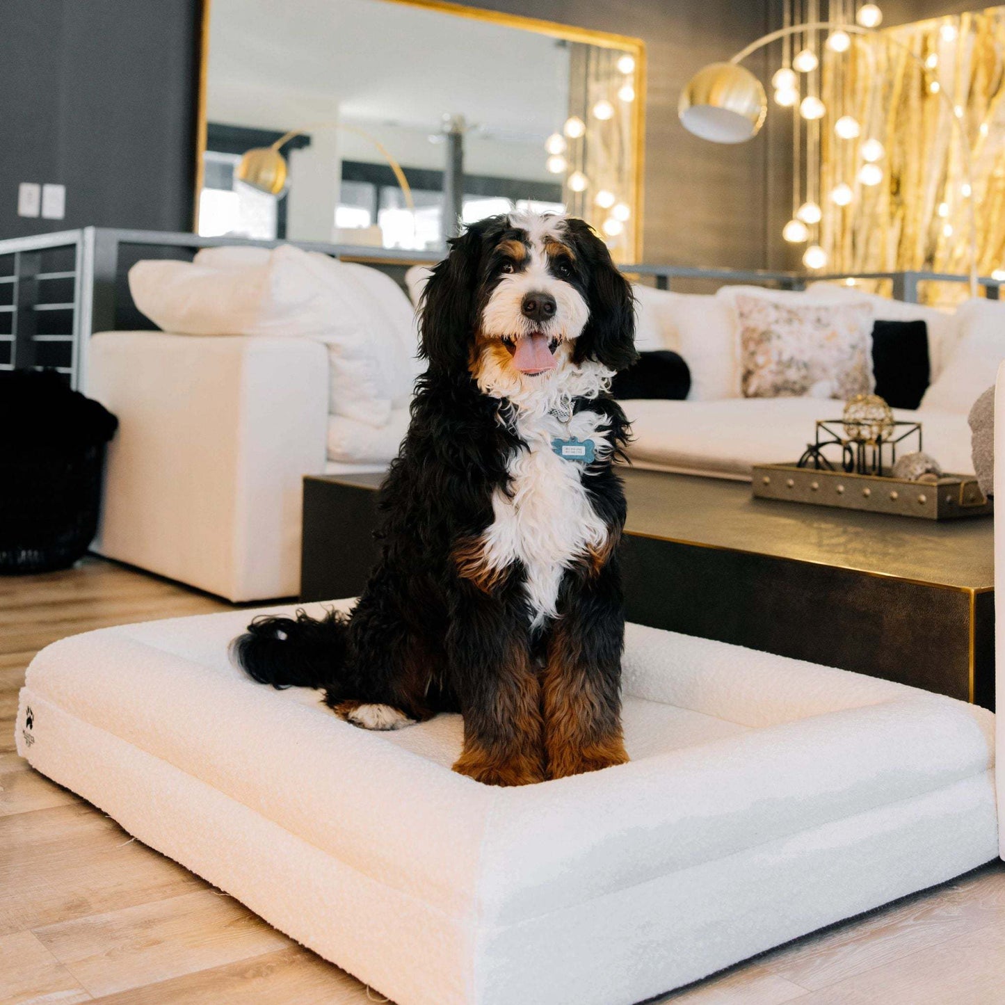Luxury orthopedic dog bed with memory foam and plush boucle cover featuring raised bolsters and removable washable cover