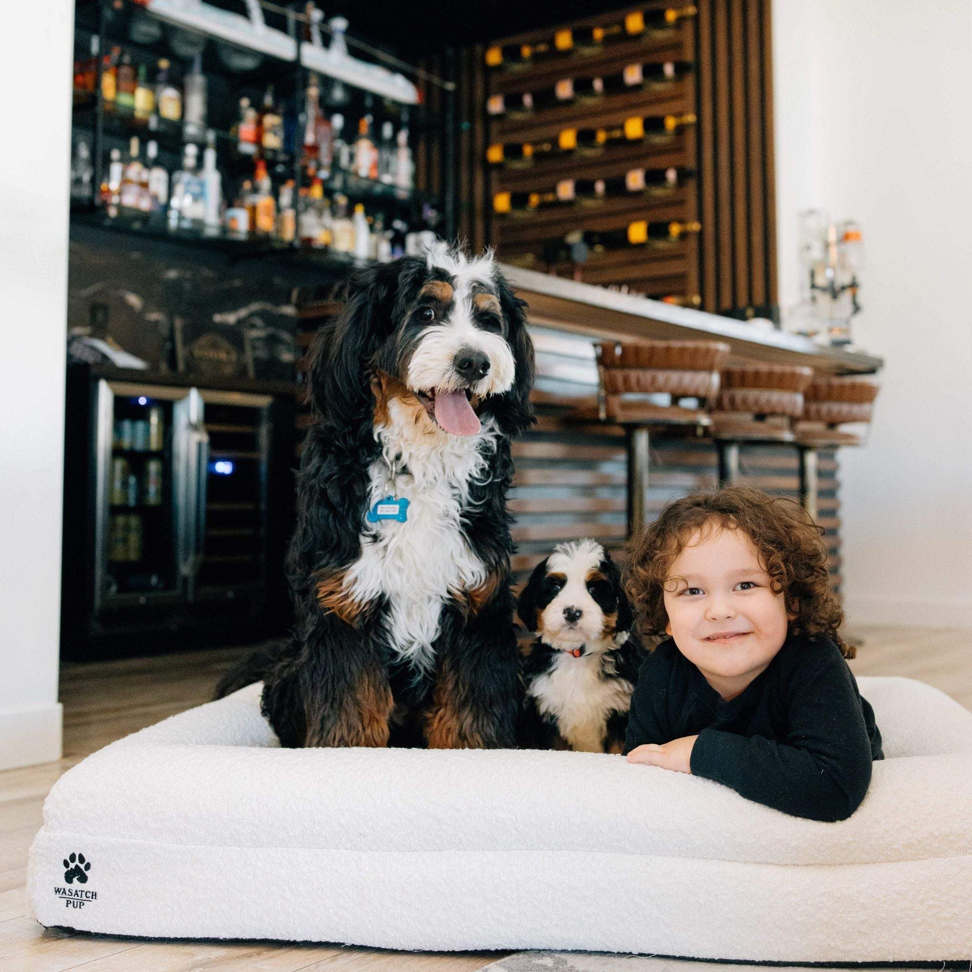 Luxury orthopedic dog bed with memory foam and plush boucle cover, featuring raised bolsters and removable washable cover for dogs of all sizes.