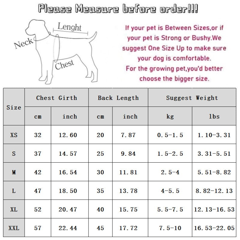 Autumn And Winter Korean Version New Dog Cute Cartoon Little Bear Sportswear Cat Teddy Pet Clothing