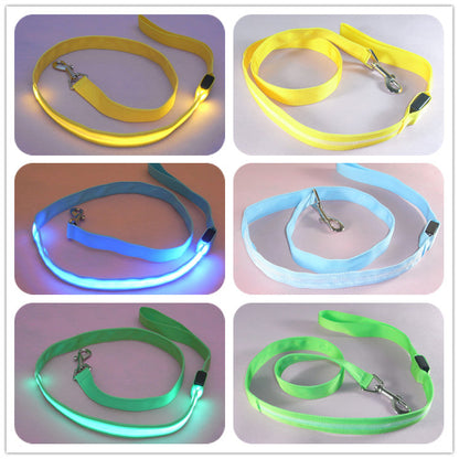 LED Illuminated Traction Nylon Pet Leash