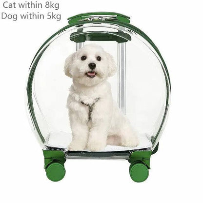 Transparent rolling pet travel trolley with wheels for puppies and cats in pink and green colors