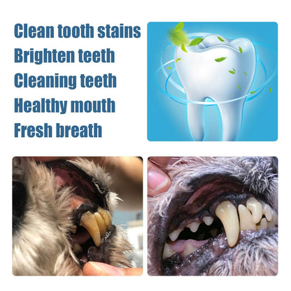 Pet Tooth Beauty Pen for cleaning dog and cat teeth, tartar removal tool