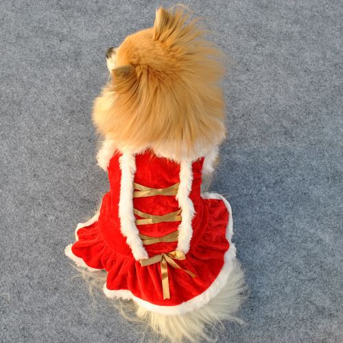 Christmas Red Pet Skirt