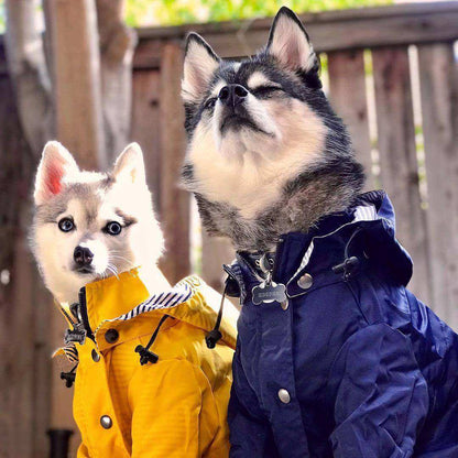 Windproof and rainproof British retro thick dog raincoat in yellow polyester for pets