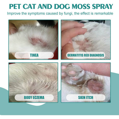 Pet Skin Medicine Spray for cats and dogs relieving mite itching and skin irritation