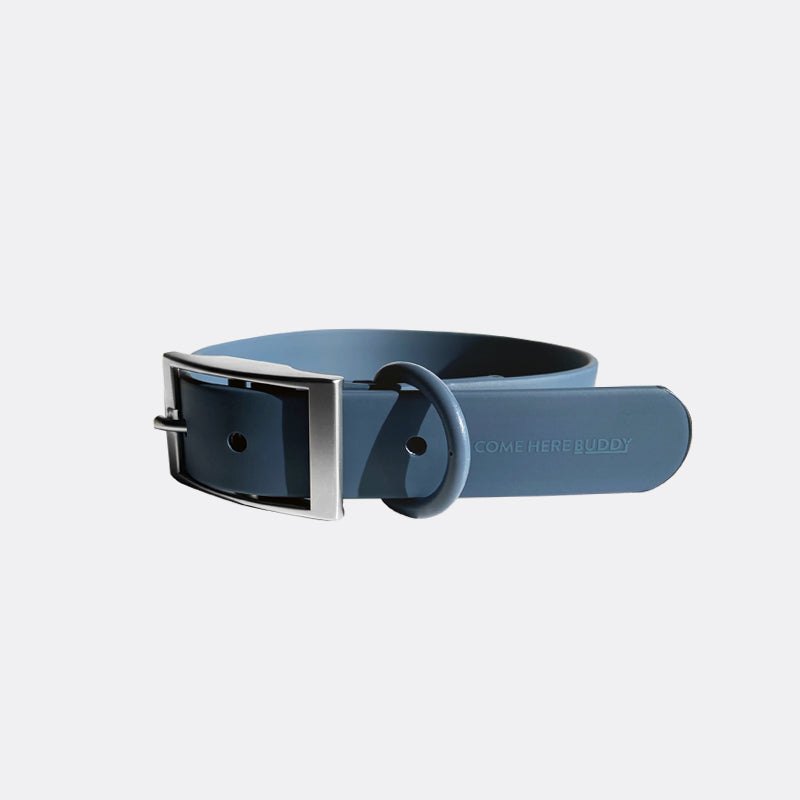 Everyday Collar - Durable, Comfortable Pet Collar for All Weather Use