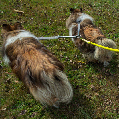 Two dogs walking tangle-free with CRAZYcoupl’r double dog leash connector on grass