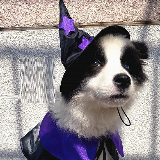 Halloween Wizard Pet Costume