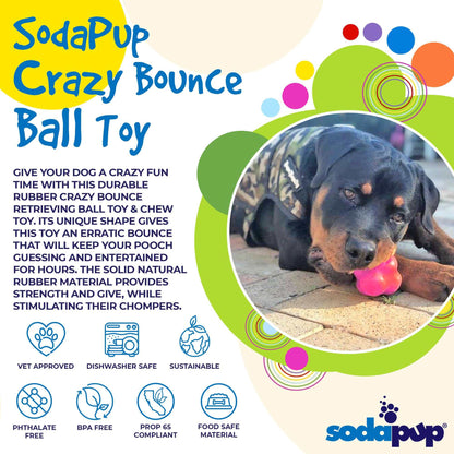 Crazy Bounce Ultra Durable Rubber Chew dog ball toy in use by a dog, designed for erratic bounce and power chewers, made from natural rubber