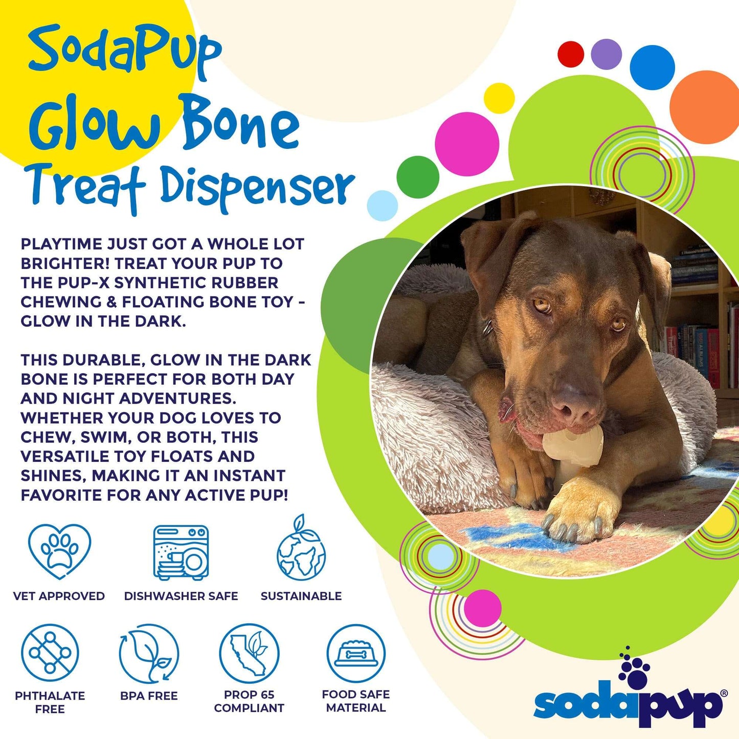 Large brown dog chewing on a glow-in-the-dark PUP-X synthetic rubber bone dog toy inside a colorful graphic with product features and benefits.