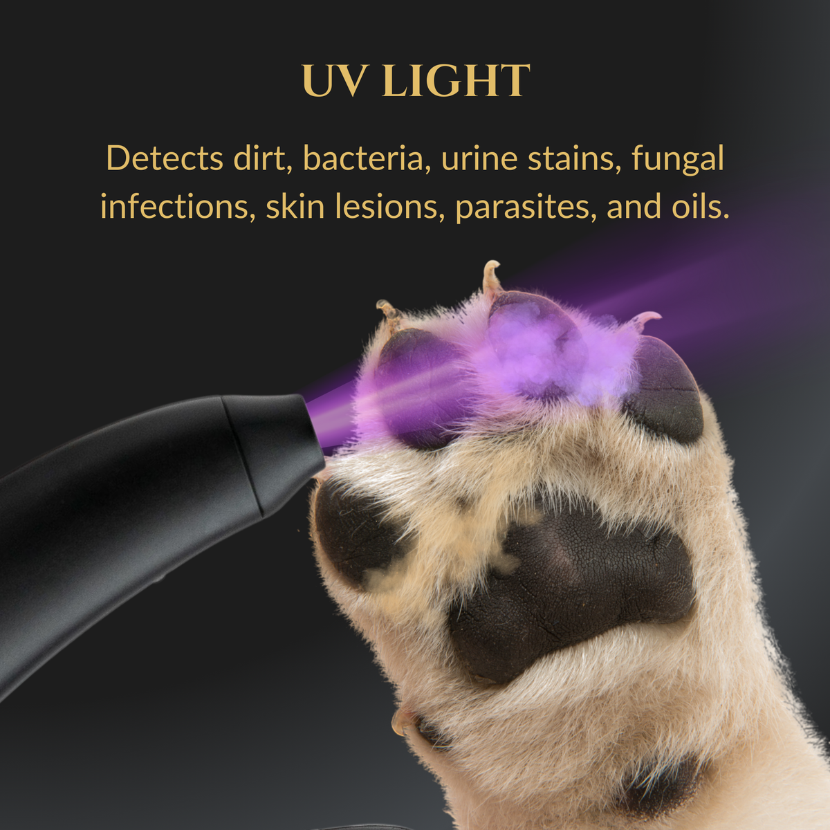3 in 1 nail clippers with LED and UV light for safe precise grooming