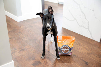 black dog standing next to a bag of Premium Raw Freeze Dried Dog Food Beef on wooden floor