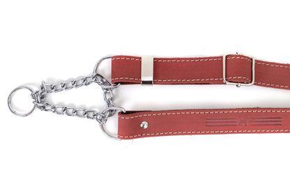Martingale Coral Reef Leather Dog Collar with durable full-grain American leather and European steel