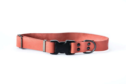 Sport Style Coral Reef leather dog collar with black quick-release buckle and durable hardware