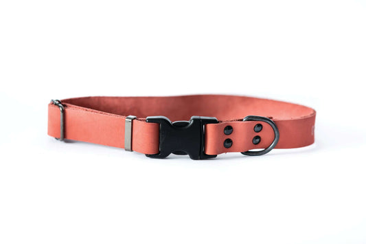 Sport Style Coral Reef leather dog collar with black quick-release buckle and durable hardware