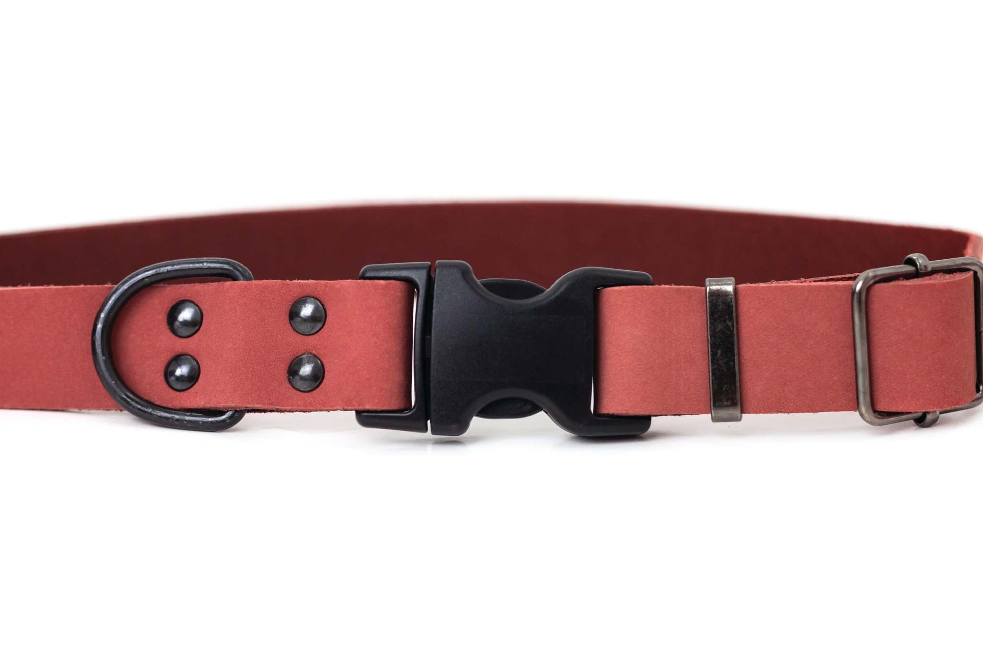 Sport Style Coral Reef Leather Dog Collar - Durable & Sporty Design