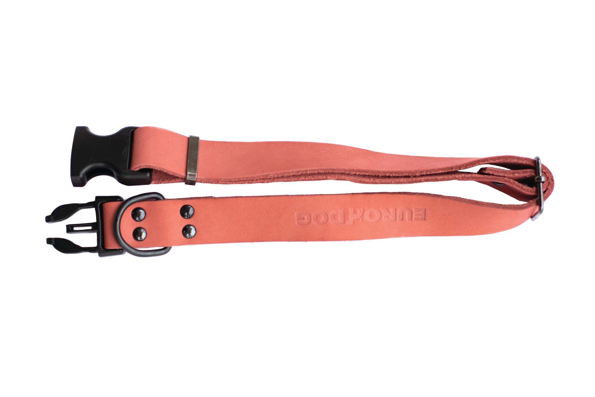Sport Style Coral Reef Leather Dog Collar - Durable & Sporty Design