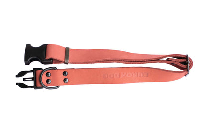 Sport Style Coral Reef Leather Dog Collar - Durable & Sporty Design
