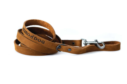Sport style earth brown leather dog leash with black hardware and Euro-Dog branding