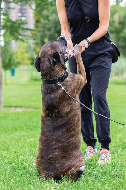 Sport Style Midnight Black Leather Leash - Durable, Classy Dog Lead 70