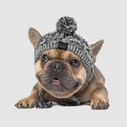 Discover the foldable pet food & water bowl by Tilley + Me, perfect for travel and outdoor outings. A compact solution for pet feeding on the go!