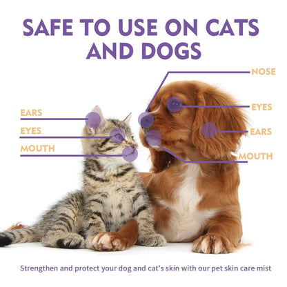 Pet Skin Relief Spray safe for use on cats and dogs targeting nose, eyes, ears, and mouth to relieve itchiness and skin irritations