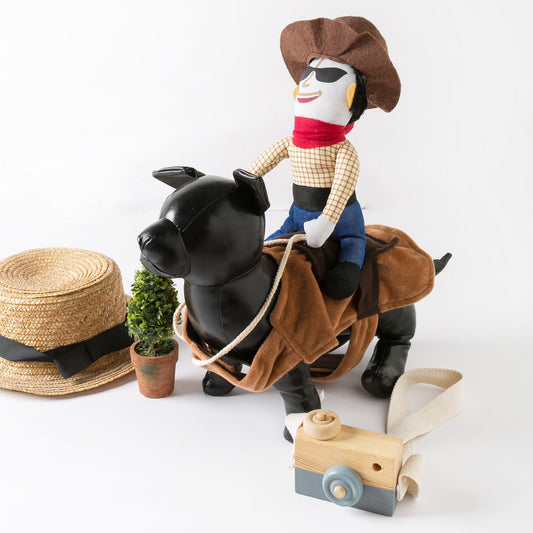 Funny Denim Riding Dog Costume
