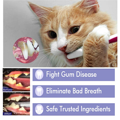 Cat using pet mouth cleaning cream for tartar removal and fresh breath, before and after close-up of pet teeth cleaning results
