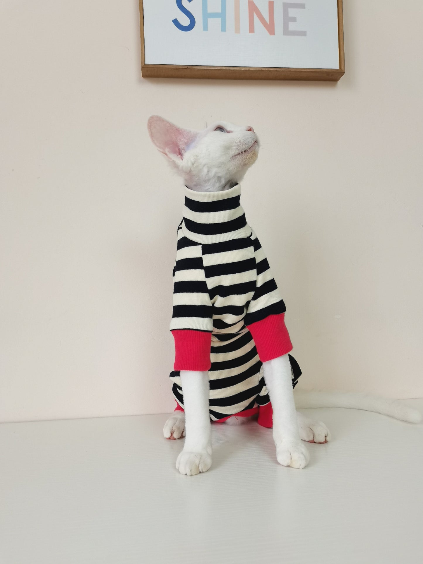 Belly-protecting Four-legged High-elasticity Fur-free Cat Clothing