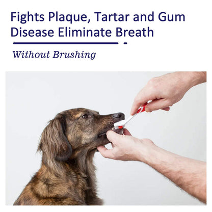 Person using pet mouth cleaning cream on dog's teeth to fight plaque and bad breath