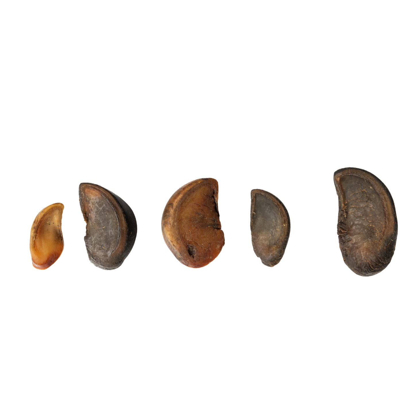 All-natural cow hooves dog chews in assorted sizes for dental health and long-lasting chewing pleasure