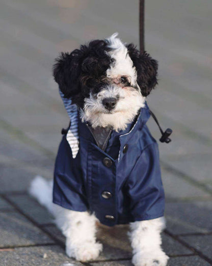 Windproof and rainproof British retro thick all weather dog raincoat