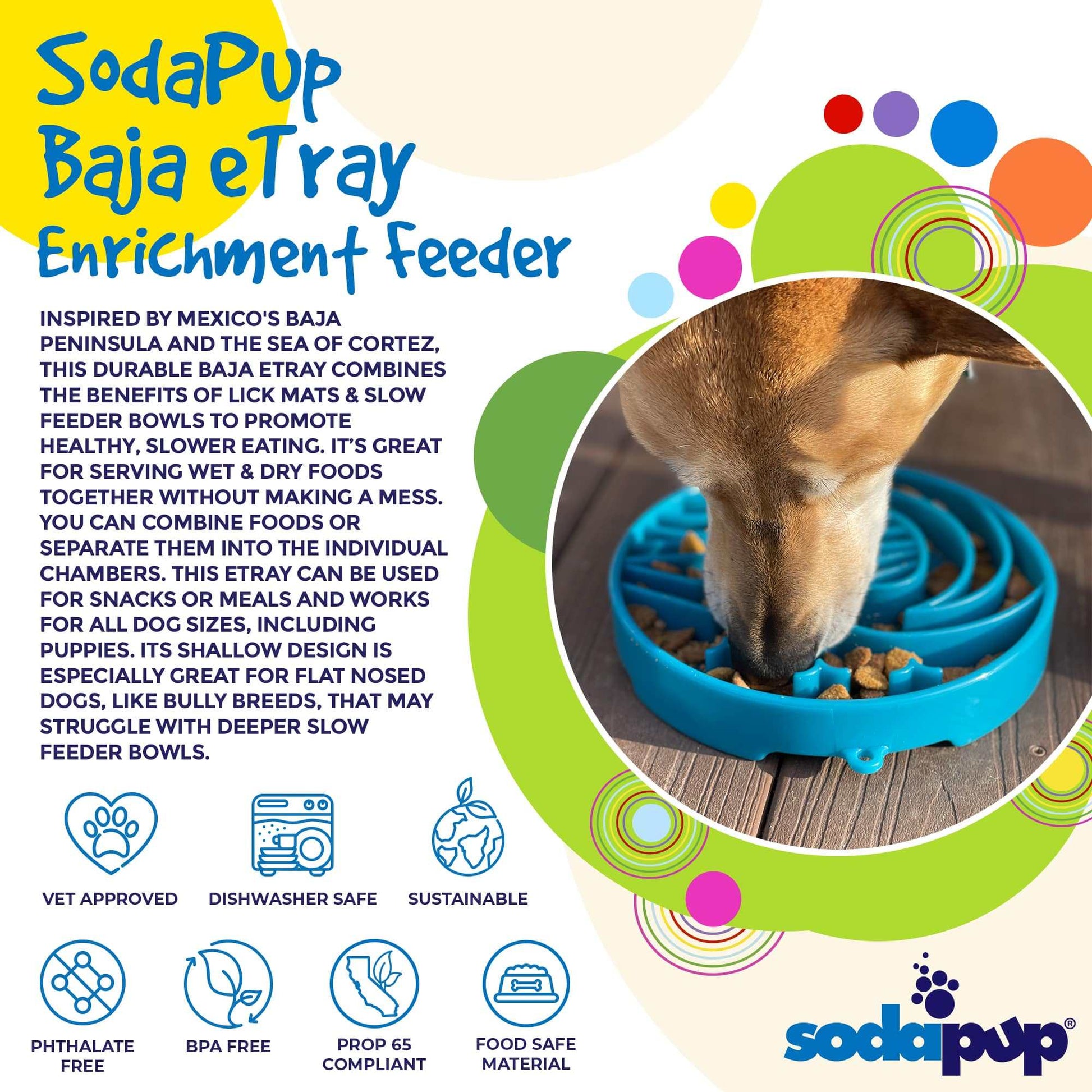 Shallow slow feeder dog bowl with Baja-inspired ridges for slow eating and enrichment, ideal for flat-faced breeds and made in USA.