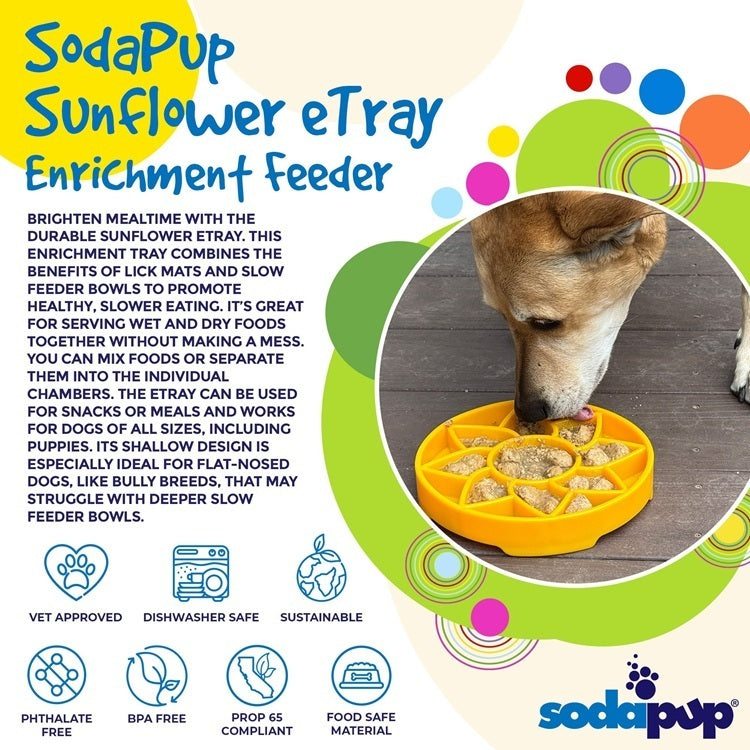 Sunflower eTray shallow slow feeder dog bowl promoting healthy eating and mental enrichment
