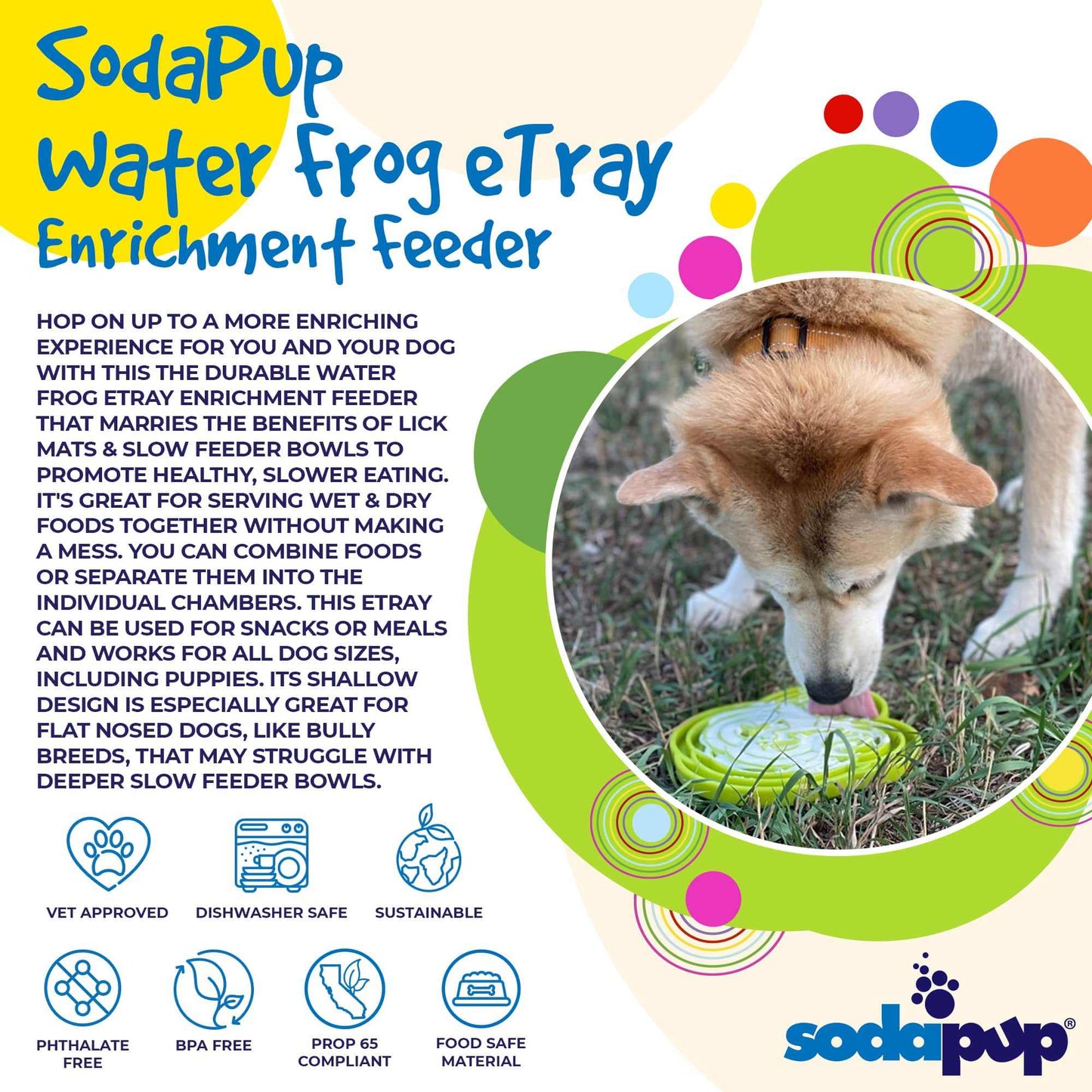 SodaPup Water Frog eTray shallow slow feeder dog bowl for enrichment with playful frog design and textured feeding channels