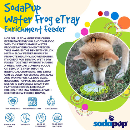 SodaPup Water Frog eTray shallow slow feeder dog bowl for enrichment with playful frog design and textured feeding channels