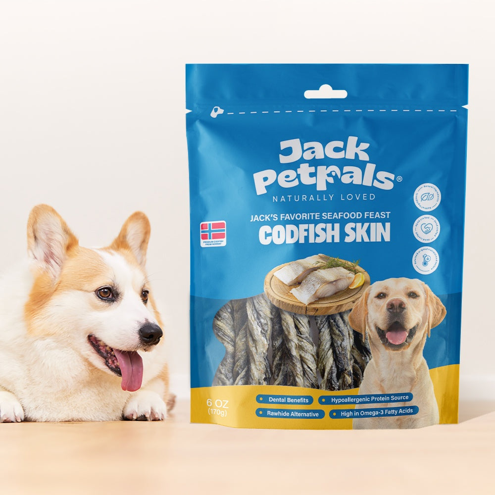 Jack PetPals Seafood Feast Codfish Skin Dog Treats 6oz pack with Corgi dog