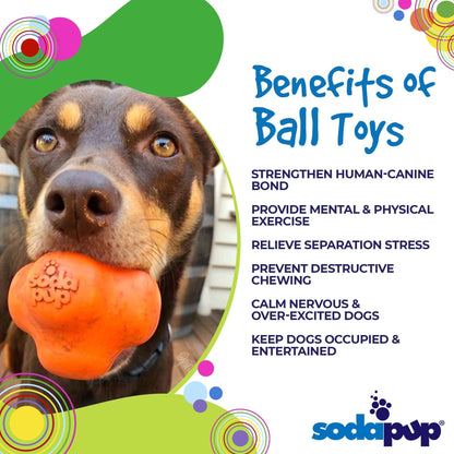 Dog holding an orange Crazy Bounce Ultra Durable Rubber Chew ball toy in mouth for chewing and play